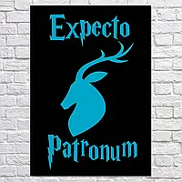 Плакат "Гарри Поттер, Патронус, Harry Potter, Expecto Patronum", 60×43см