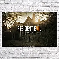 Плакат "Обитель зла, Resident Evil", 38×60см