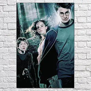 Плакат "Гаррі Поттер і кубок вогню, Harry Potter", 60×41см