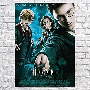 Плакат "Гаррі Поттер та орден фенікса, Harry Potter", 60×43см