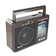 Портативний радіоприймач акумуляторний Golon RX-9966, фото 3