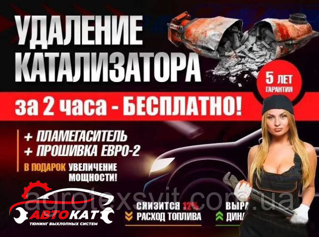 Видалення Каталізатора. Прошивка Євро-2 Установка полум'ягасників і обманок. Ремонт вихлопної.