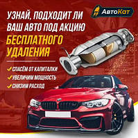 Вирізати Каталізатор, Заглушити ЄДР, EGR, AdBlue відключення, Євро 2