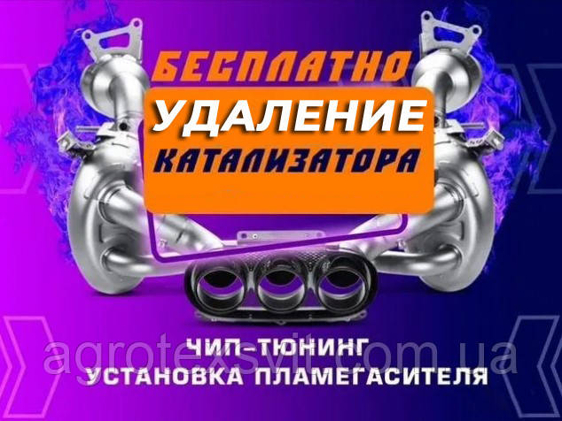 Видалити Каталізатор під ключ! Прошивка євро 2 Чіп тюнінг будь-якого авто!