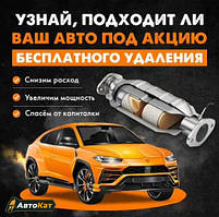 Вирізати каталізатор під ключ! Усунення помилки Check Engine. AdBlue ремонт.