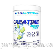 Креатин-моногідрат з таурином AllNutrition Creatine Muscle Max 500 г (різні смаки), фото 5