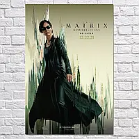 Плакат "Матрица: Воскрешение, The Matrix Resurrections (2021)", 60×41см