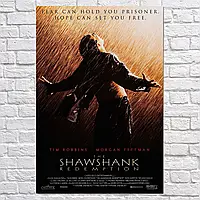 Плакат "Побег из Шоушенка, The Shawshank Redemption (1994)", 60×41см