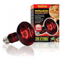 Інфрачервона лампа розжарювання Exo Terra «Infrared Basking Spot» 100 W, E27