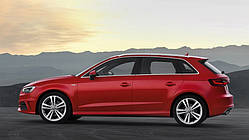 Багажник поперечки на Audi A3 Hatchback 2012 - гладка дах CAMEL Кенгуру