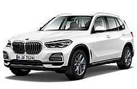 Багажник BMW X5 G05 2018- поперечки на рейлинг интегрированный Integra techno M Кенгуру