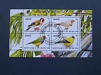 Блок 4 марки Бурунді 2011 фауна птиці Міра гаш No2