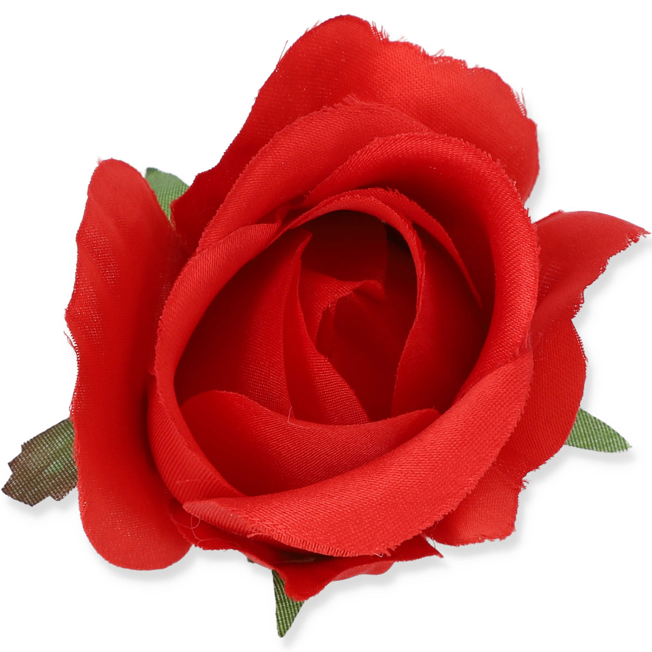 roza_w_oklahoma_9489_2.jpg