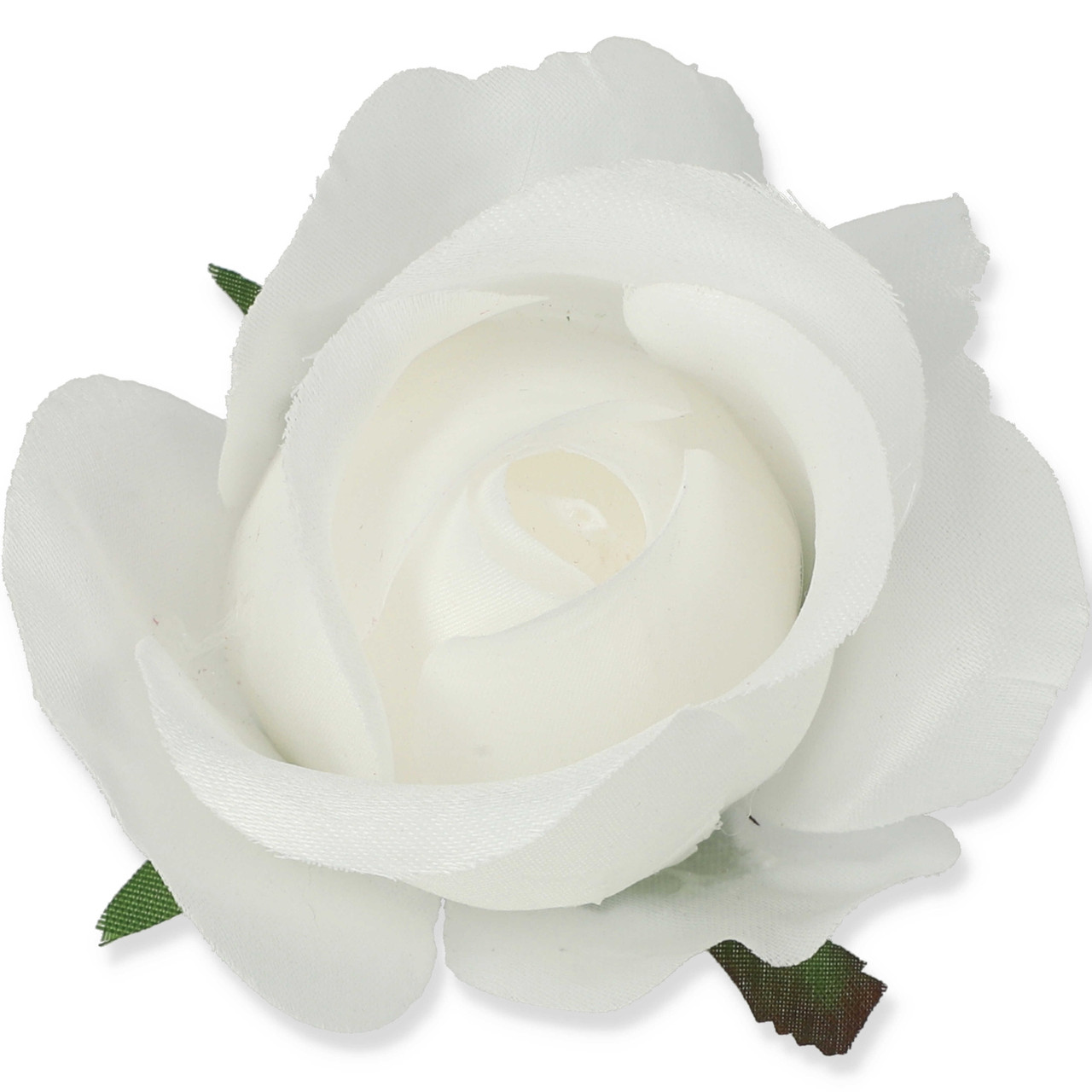 roza_w_oklahoma_9489_1.jpg