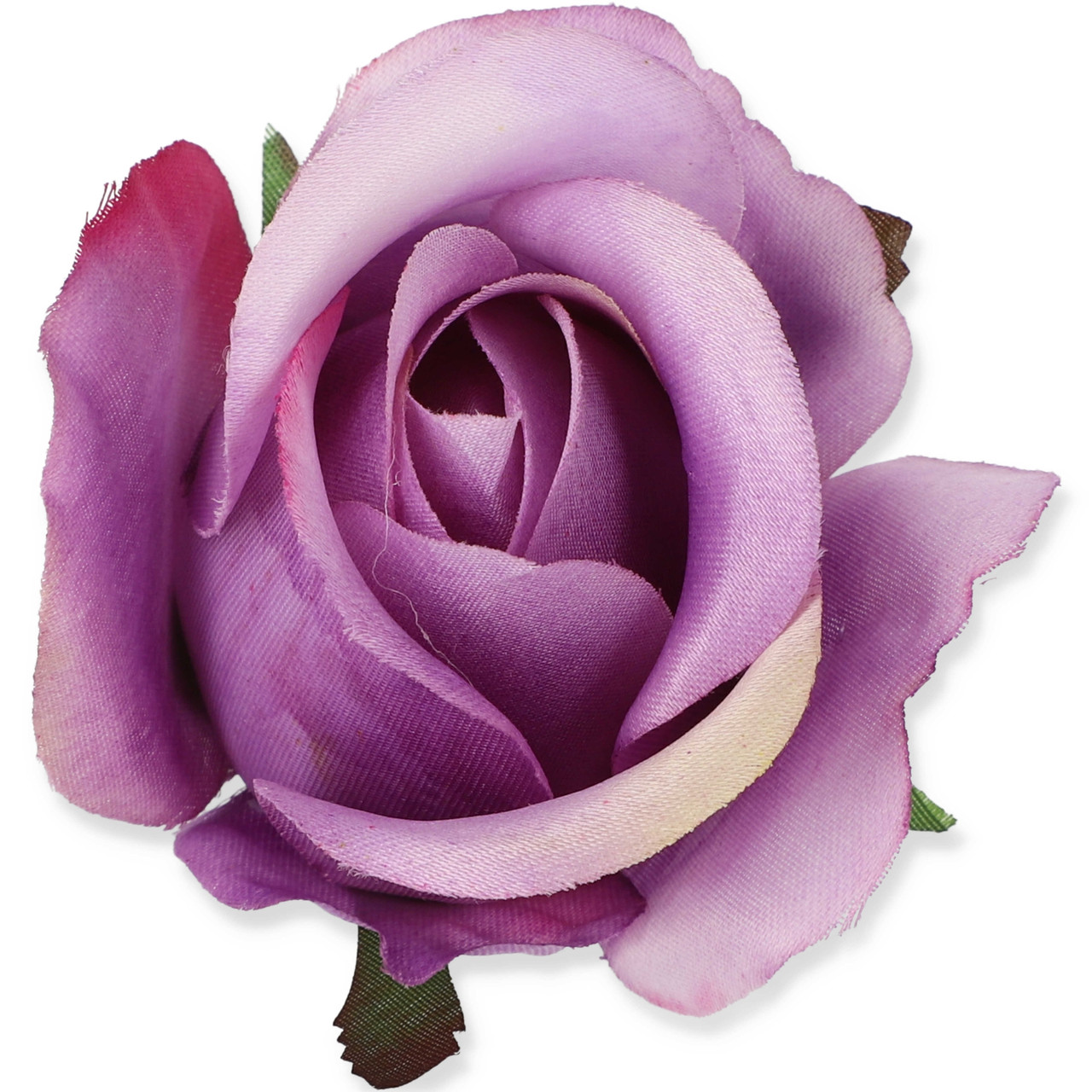 roza_w_oklahoma_9489.jpg