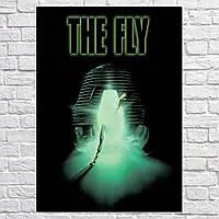 Плакат "Муха, ужасы, The Fly (1986)", 60×43см