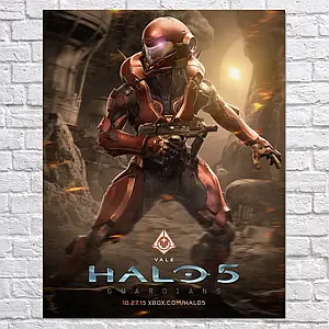 Плакат "Хейло 5, Vale, Halo 5: Guardians", 60×47см