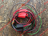 Джгут дротів ебн електробензоноса низького тиску універсальний, фото 5
