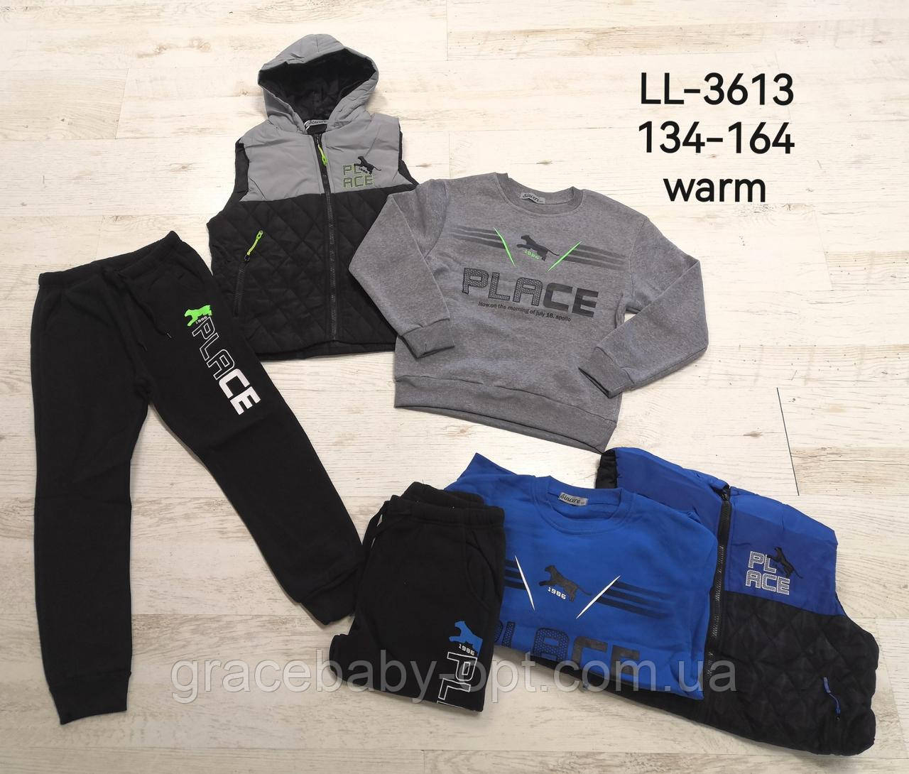 Утеплений спортивний костюм 3 в 1 для хлопчика оптом, Sincere, 134-164 см, № LL-3613