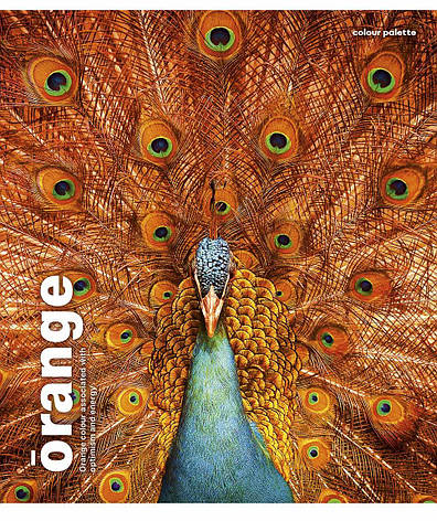 Зошит учнівський Школярик Animal palette, 48 аркушів, фото 2