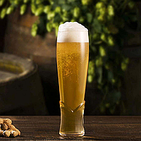 Набор бокалов для пива Pasabache Craft 455 мл 4 шт (420748)