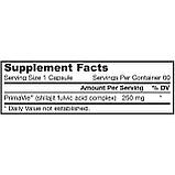 Jarrow Formula, мумійо та фульвокислота, 250 мг, 60 вегетаріанських капсул, фото 2