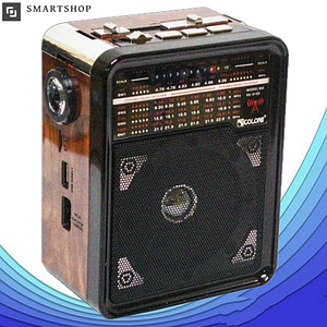 Радіоприймач GOLON RX-9100, радіоприймач від мережі з акумулятором і ліхтариком, MP3 USB FM 88-108MHz