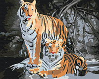 Картина по номерам животные Картины в цифрах Дикие тигры Раскраска по номерам 40x50 Brushme BS52793