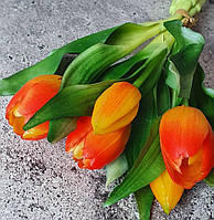 Тюльпаны латексные Премиум качества, в букете 5 веточек - (цвет оранжевый)