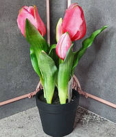 Тюльпани латексні Преміум якості у Пластиковому горщику, висота 23см - (колір рожевий)
