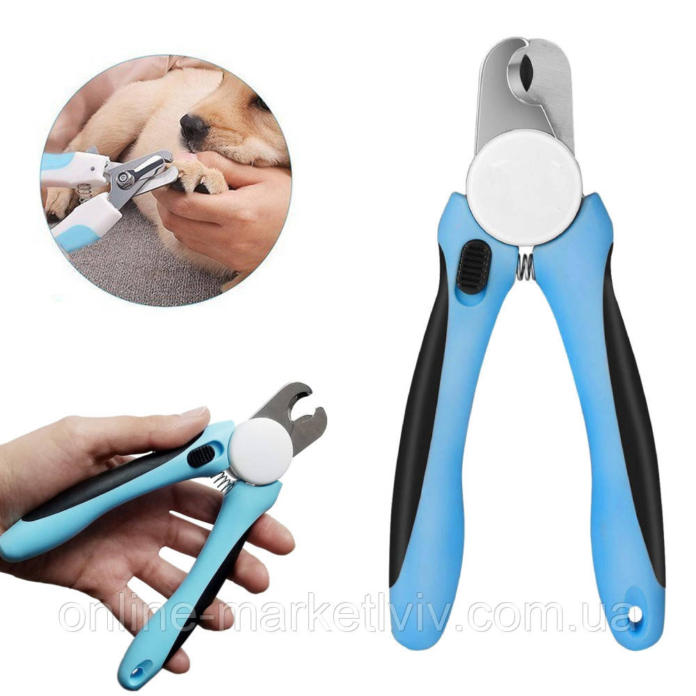 Сексуалдық порно үлкен мүшесі