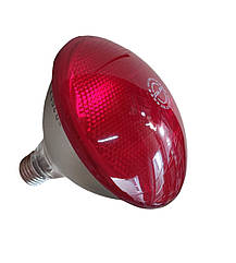 Лампа інфрачервона PAR38 для обігріву тварин, InterHeat, 175 Вт