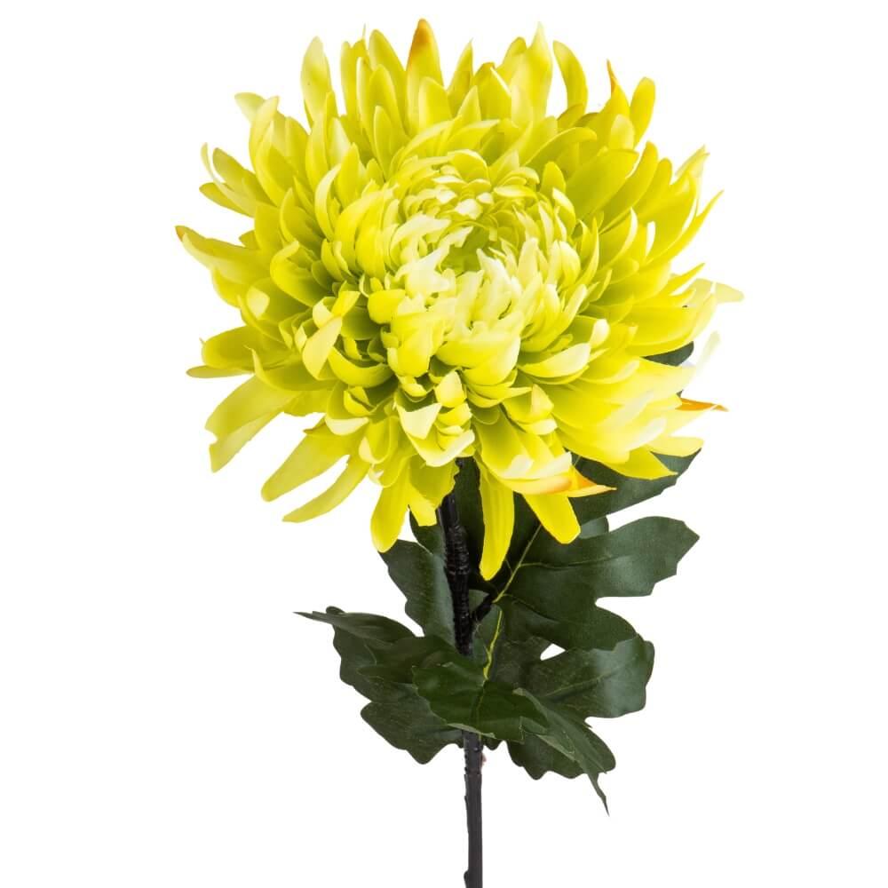 Хризантема "Натхнення", зелена ELISEY, фото 1