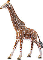 Фигурка Schleich Жираф, Giraffe (14749)