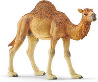 Фигурка Schleich Верблюд, Dromedary (14832)