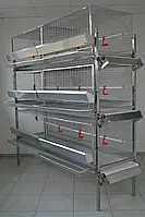 Клітка для курей-несучок до 60 голів