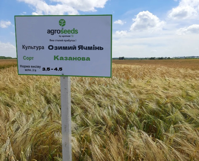 Казанова насіння озиму ячменю, дворядний, Перша репродукція, Limagrain (Лимагрейн)