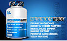 Суміш грибів для імунітету Evlution Nutrition MushroomMode 90 Veggie Capsules, фото 3