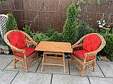 2 кресла Звичайні з подушками +кухонний стіл, фото 4