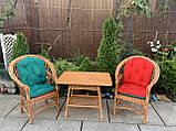 2 кресла Звичайні з подушками +кухонний стіл, фото 5