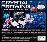 Набір дослідів із кристалами, зріст 7 кристалів 7 Crystal Growing Science Experimental Kit,, фото 5