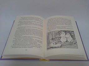 Країна Мумі-тролів Книга 2 Туве Янссон Видавництво Старого Лева, фото 4