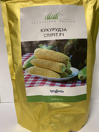 Насіння кукурудзи Спіріт F1, 500 г — рання (73 дні), солодка Syngenta, фото 1
