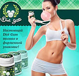 Diet Gum – жуйка для схуднення, фото 4