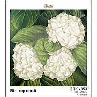 Білі гортензії Схема для вишивання бісером Золота підкова ЗПК-053