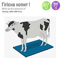 Дезковрик для обробки копит у тварин великих порід 100*200*9см