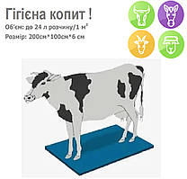 Дезковрик для обробки копит у тварин 100*200*6см