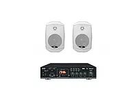 Акустический комплект DV audio MA402MS4W