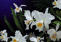 Фотообои Арт Декор "Дикая орхидея" 194х268