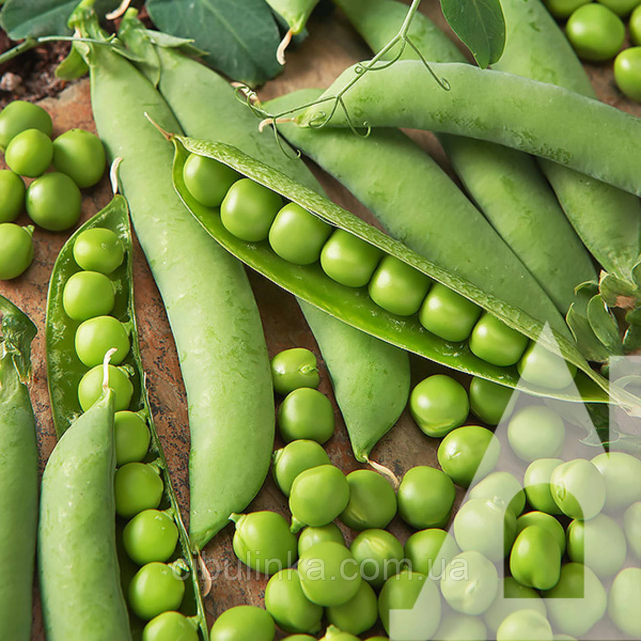 Горох Тристар Satimex/Німеччина 100 г, фото 1